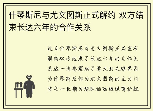 什琴斯尼与尤文图斯正式解约 双方结束长达六年的合作关系 什琴斯尼与尤文图斯正式解约 双方结束长达六年的合作关系